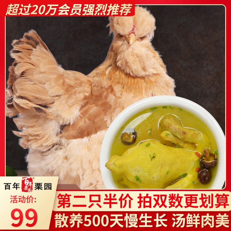 山东油鸡老母鸡1kg